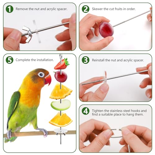 LELE LIFE 5Pcs Bird Cage Food Holder, Hanging Parrot Fruit Vegetable Skewer, Stainless Steel Bird Foraging Toys Bird Cage Feeder for Parakeet Budgie Bird Cage Accessories
