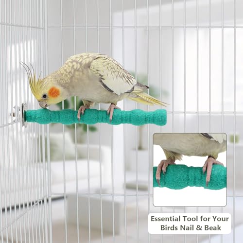 Litewoo Pet Bird Perch Parrot Rough-surfaced Stand Toy Branch Nature Wood Quartz Sand Branches Nail Perch for Small Medium Birds Cockatiel Parakeet Conure Cage Accessories (Green, 6.3in) - color: Green, 6.3in