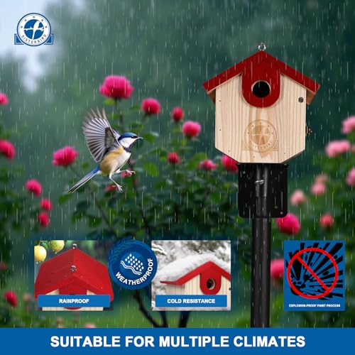 SISTERBIRD Wren Bird Houses for Outside Cedar Hanging Birdhouses for Outdoors 1-1/8" Entrance Hole Bird Houses for Outside Clearance Wooden Nesting Box Chickadee Predator Guard, Red - color: Red
