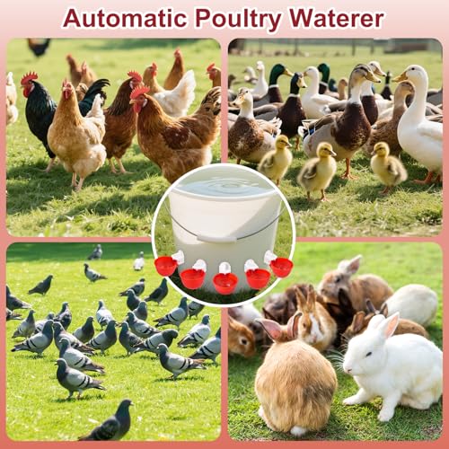 Chicken Waterer Cups, 8 Pack Red Automatics Chicken Waterer | Professional Poultry Cups Suitable for Chicks, Duck, Turkey and Bunny Various Poultry, Compatible With Various Containers - color: red