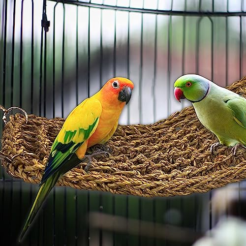SIMENA Seagrass Mat for Birds, Natural Grass Woven Bird Net Hammock, Climbing Rope Ladder, Chew Toys for Parrots Lovebirds Cockatiels Conures Budgies, Cockatoos (Small)