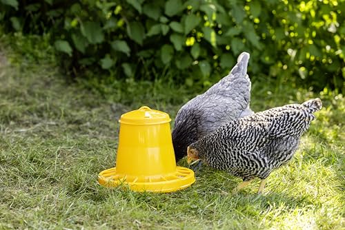 Kerbl Automatic Poultry Feeder Plastic Feeder for Ducks, Geese, Turkeys
