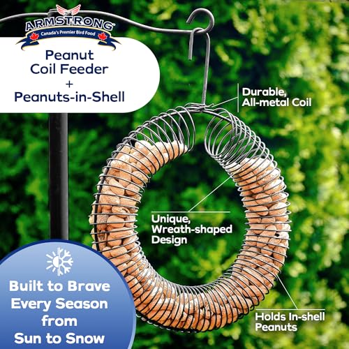 Armstrong Wild Bird Food Wreath-Shaped Peanut Feeder + 6 lb Peanuts-in-Shell Bundle – Durable Metal Hanging Coil Feeder with Nutritious Peanuts for Blue Jays, Squirrels, and Backyard Wildlife - style: Peanut Coil Bundle