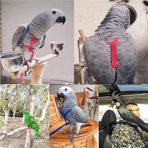 Adjustable Bird Harness and Leash,Anti-Escape Nylon Parrot Leash Black M | Flying Training Rope Parrot Harness For Small Medium Large Breed Parrots Fits Chest Under 20'' - color: Black, size: M