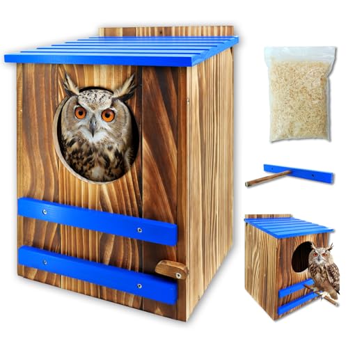 Screech Owl House for Outdoors,10"x10"x15" Large Carbonized Wood Barred Owl Nesting Box, Weather-Resistant Bird House with Blue Roof, Ventilation & Replaceable Perch, Garden Wildlife Habitat Gift