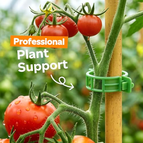 100Pcs Tomato Clips for Climbing Plants Trellis Plant Support Clips | Reusable Plastic Clips for Supporting Grape Tomato Vine and Vegetables Plants to Grow Upright Makes Plants Healthier (Green) - color: Green