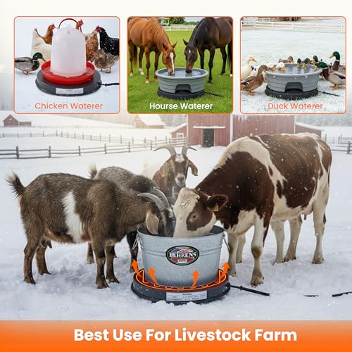 Chicken Water Heater for Winter – 125W Livestock Water Heater for Plastic Tank or Metal Water Bucket (5–7 Gallons 15.35") Base Plate Heated Chicken Waterer, Calentador de Agua para Pollos
