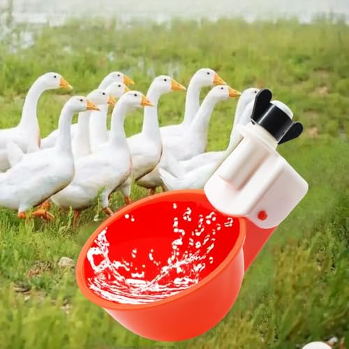 Chicken Waterer Cups, 12 Packs Poultry Water Feeder with Drill, Large Poultry Waterer Automatic Waterer for Chicken Coop, Duck, Chicks, Goose, Turkey, Bunny, Bird (Red, 12 Pack) - size: 12 Pack
