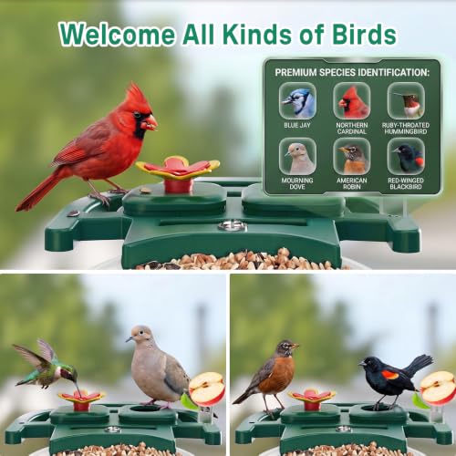 Bird Feeder with Camera Solar Powered, 2K HD Birds Feeder Camera for Outdoors, Instant Motion Detection & Alerts, AI Smart Identify Birds Species, Gifts for Mom Dad and Bird-Lovers(Green) - color: Green