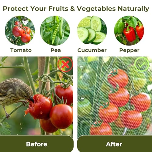 Garden Bird Netting, 3 Pack Tomato Cage Netting with Zipper, 18" x 60" | Fine Mesh Plant Protector, Zipper Access Design, Bird & Squirrel Barrier, Garden Plant Netting