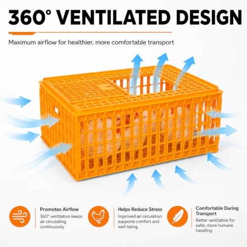 4 Pcs Poultry Carrier Crates, 29 x 21 x 13 in | Sturdy ventilated plastic transport boxes for chickens, ducks, geese, birds, farms, backyard coops, and hatcheries