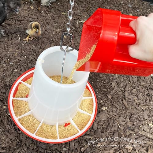 2 Quart Feed Scoop