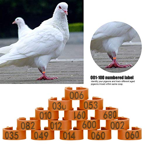 8mm Pigeon Leg Bands 0-100 Numbers Chicken Identification Leg Bands for Bantam Finch Dove Lovebird Coturnix Quail (Brown) - color: Brown
