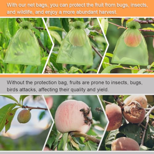 Shintop 100Pcs Fruit Protection Bags, 6x9inch Green Fruit Tree Net Cover | Drawstring Mesh Tomato Bags, Fine Mesh Blocks Bugs, Breathable Sheer Organza, Gentle on Delicate Stems, Fits Apples, Mango - size: 6x9 inch