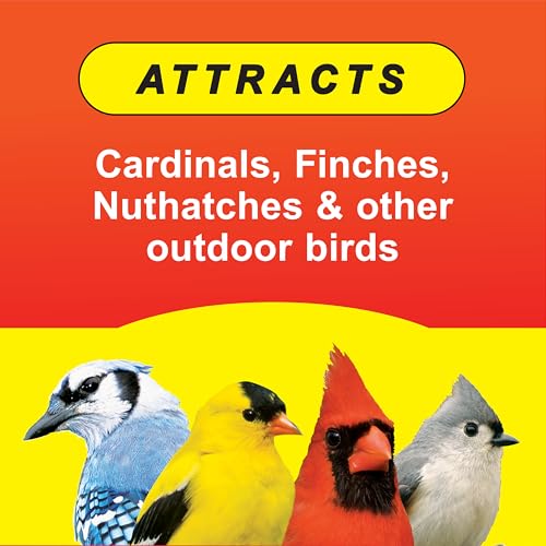 Wild Delight Sizzle N' Heat Wild Spicy Bird Seed to Deter Squirrels | No fillers, corn, milo, millet. Premium ingredients make up this hot bird seed squirrel proof. Attract the extraordinary - size: 5 Pound (Pack of 1), style: Sizzle N' Heat 5lb