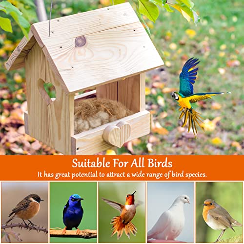 Sukh Bird Nesting Material - Bird Nest Bedding for Hummingbird Finch | Natural Nest Building Material for Parakeet Cage, Garden, Tree Trunks, DIY Bird Nests, Small Birds Supplies (3)