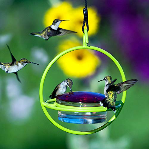 Hummingbird Feeder for Outdoors Hanging, 3.4 OZ Hummingbird Feeders, Glass Bowl with 4 Feeding Ports, Leak Proof Lid & Circular Perch, Bird Feeder (1, Lime) - color: Lime