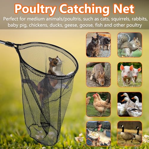 Catcher Net Small Animal Control Net Poultry Catching Trap Tool, Large | 43"-78" Handle, 24" Net Opening, For Chicken, Duck, Goose, Fish, Cat, Dog, Poultry Catching Trap Tool - color: Advanced Grey - 24inch Net Opening(Large)