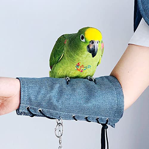 ISMARTEN Parrot Anti-Scratch Arm Protector, Multi-Functional Bird Diaper Flight Suits Pee Pads Diaper Poop Shawl for Small Medium Cockatiel Parakeet Macaw Lovebirds Finches (Arm Protector-Blue) - style: Arm Protector-Blue