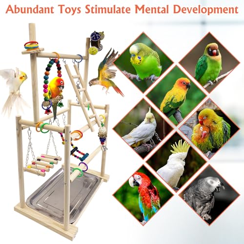Hamiledyi Natural Wood Bird Playground - Large 3-Tier Perch Stand with Exercise Platforms Durable Activity Gym for Parrots, Cockatiels and Small Birds Bird Stand with Ladders and Swings