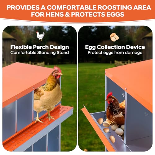 GarveeTech Chicken Nesting Box with Legs, 6 Compartment Metal Hen House, Elevated Design for Cleaner Eggs, Easy Egg Collection & Durable Poultry Nesting Solution - size: Green-6 Compartments with legs