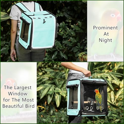 Bird Carrier with Seat Belt for Car Travel, Bird Backpack Carrier with Indestructible Stainless Steel Mesh, Large Bird Carrier Travel Cage, Green - color: Green, size: 13.5"L x 10.0"W x 15.5"H
