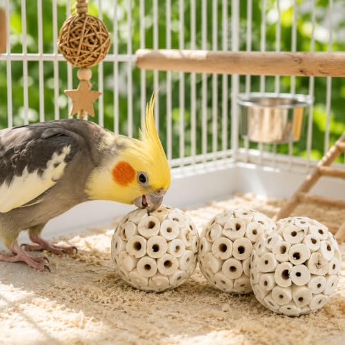 Bonka 1214 Pk3 2.25" Sola Atta Balls Bird Foot Chew Toy Small Medium | Soft lightweight natural pith encourages shredding, chewing, tossing, and foot play - color: Pk3 Sola Atta Balls