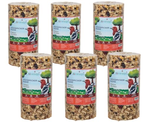 JCs Wildlife Woodpecker Blend Bird Seed Cylinder with Hole, Peanuts Pecans Pumpkin Seeds Berries, No Filler Wild Bird Food for Outside Feeders, Made in the USA, 1 Count (Pack of 6) - size: 1 Count (Pack of 6)