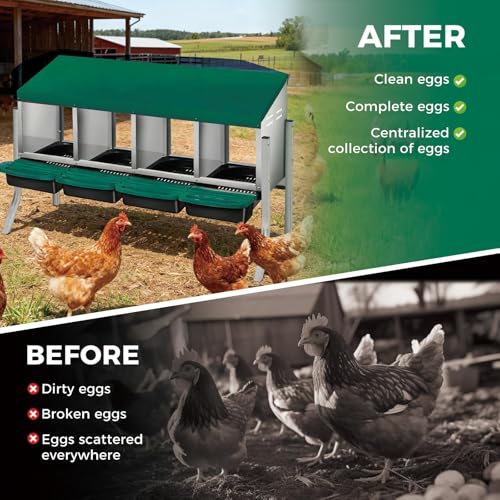 Chicken Nesting Boxes, Heavy-Duty 8-Compartment Metal Chicken Nesting Box – Removable Tray, Ventilation Holes, Easy Egg Collection, Rustproof Galvanized Steel - Green - 4 - Slot - with Legs - color: Green, size: 4 - Slot - With Legs