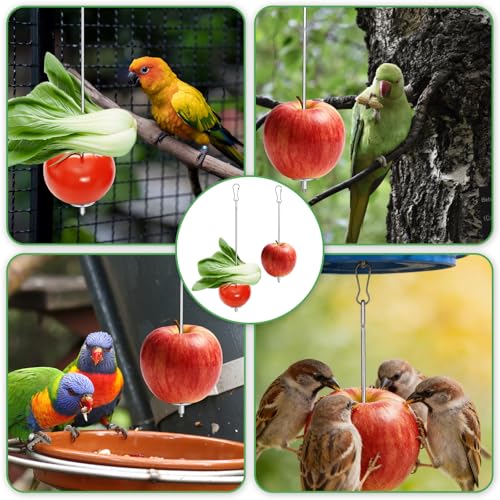 4PCS Bird Cage Food Holder, Stainless Steel Bird Feeder for Cage with Hook, 22cm/17cm Parrot Fruit Skewers, 2 Sizes Hanging Foraging Toy for Macaw Parakeet Parrot Budgie