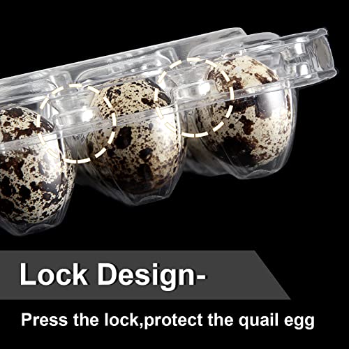 100 Pcs Quail Egg Cartons, 24 Grids Clear Quail Egg Cartons, Reusable Quail Egg Cartons Cheap Bulk, Plastic Stackable Egg Storage Box for Small Eggs,Quail,Pheasant,Pigeon Eggs