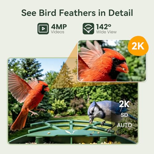 Smart Bird Feeder with Camera, 11000+ AI Bird Recognition, 2K HD Color Night Vision, IP65 Waterproof Solar Powered Bird Feeder with 142° Wide Angle, Motion Detection for Outdoor Garden, Ideal Gift