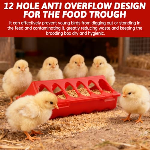 4Pcs Chick Feeder and Waterer Kit, 3×12-Hole Anti-Spill Trough Feeders & 1 Automatic Waterer, Baby Chick Starter Kit for Chicks Ducklings Quail & Small Poultry