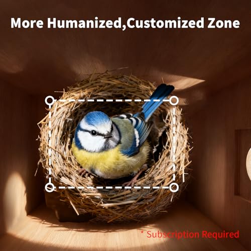 Birdhouses for Outside with Camera Solar Powered Perfect Birdwatching Gift | Smart Bird Feeder for Outdoors, 2K HD Live Video, Nesting Box with Motion Detection, Weatherproof, Bird Lover Gifts