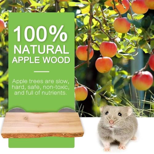 2Pcs Hamster Ledges Wooden Platform 2.6 x 6 Inch Rat Climb Platform Shelf Bird Perch Stand Toys Cage Accessories for Rat Gerbil Suger Glider - size: 6 × 2.6''