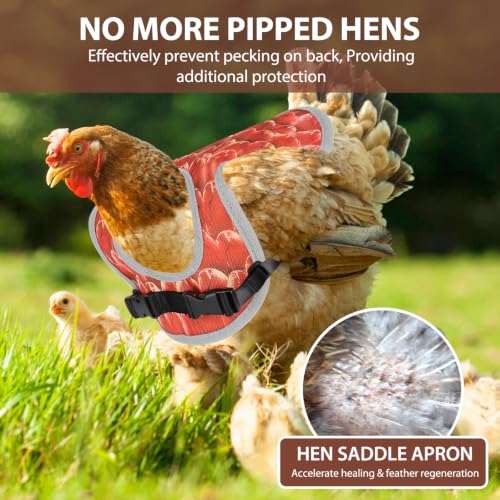 Chicken Saddles for hens,Chicken Apron Back Protector for Hens with Adjustable Strap，Chicken Hen Mating Saddle，Identification Card (Mixing) - color: Mixing