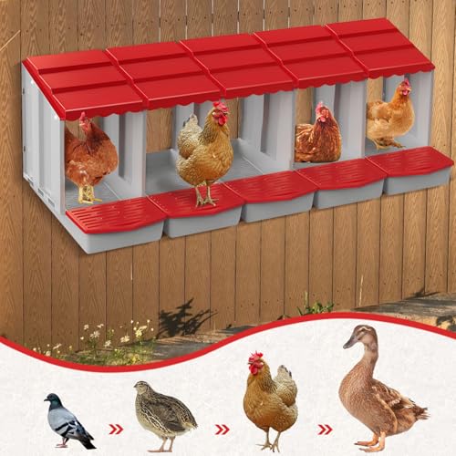 5 Hole Chicken Nesting Box with Rolling Egg Collection Design | Rolling Egg Collection & Protection Nesting Boxes, Avoid Broken Eggs, Ideal for Coops, Backyard & Family Chicken Raising ﻿ - size: 5 Compartment