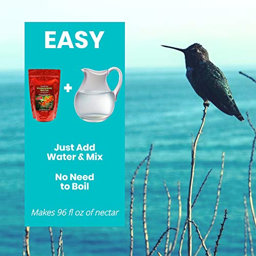 Naturally Fresh Hummingbird Nectar Powder with Nectar Defender, 2-Pack | Bird-safe, Dye-free, Just add water, No artificial preservatives, Makes 192 oz, Nectar lasts up to 2 weeks, Made in USA