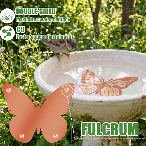 4 Pack Pure Copper Disk for Bird Bath Water Cleaner,Butterfly | Triple-point Support, Outdoor Bowl Purification, Algae Prevention Safe, Pure Copper Discs, Flower Petal Design Shapes - size: Butterfly