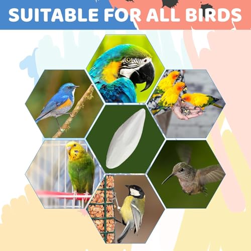 3.9-4.5'' Cuttlebone for Parakeets Cuttlebone for Birds - 100% Natural Cuttlefish Bone Bulk Chew Toy Bird Bites Calcium Stone for Canaries Tortoises,Snails,Reptiles,Parrots,Cockatiel-30PCS - size: 30PCS