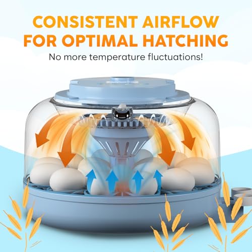 18 Egg Incubator with Automatic Egg Turning and Humidity Control – Egg Incubators for Hatching Eggs – Egg Candler, Water Bottle Refill, Air Vent, 360° View – Incubadora de Huevos de Gallina