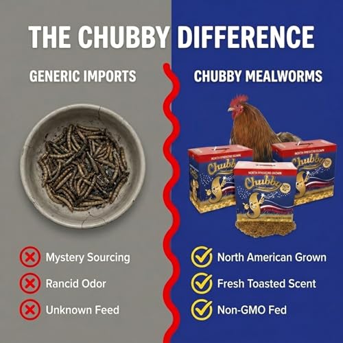 Chubby North American Grown Dried Mealworms | 30 lbs | Non-GMO High-Protein Treats for Chickens, Ducks & Wild Birds – Sustainable Chicken Feed - size: 30 Pound (Pack of 3)