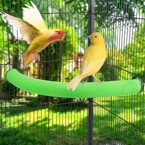 FrgKbTm U Shape Parrot Perch Stand Toy Bird Platform Sand Paw Grinding Clean Stick Exercise Conure Budgie Cockatiel Cage Accessories (Green Corner Medium)