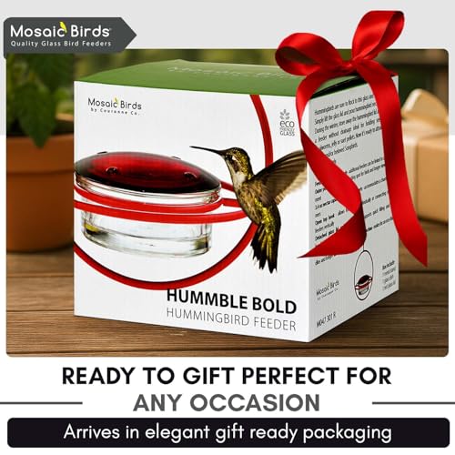 Hummingbird Feeder for Outdoors Hanging, 3.4 OZ Hummingbird Feeders, Glass Bowl with 4 Feeding Ports, Leak Proof Lid & Circular Perch, Bird Feeder (1, Black) - color: Black