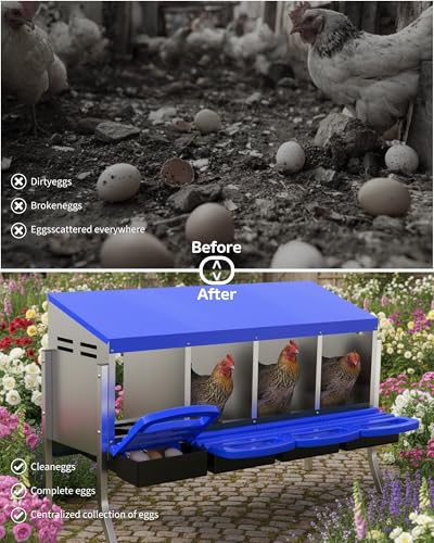 GarveeLife Chicken Nesting Box 4 Hole, Galvanized Steel Nest with Roll Away Egg Collection & Swing Perch, Easy-Clean Laying Box for Hens, Heavy Duty Design for Chicken Coop - color: Blue, size: 4 holes with legs
