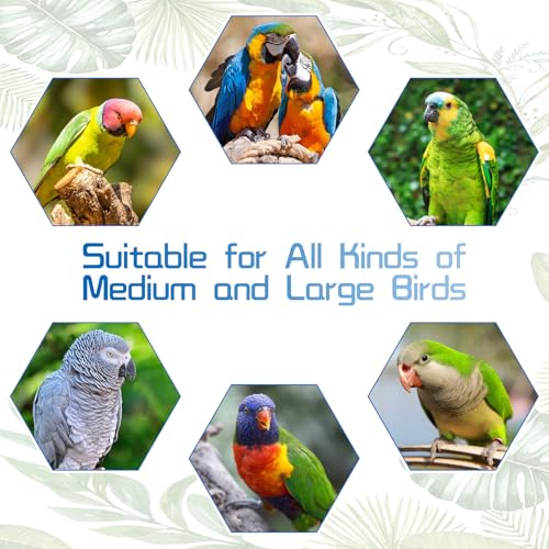 Bird Swing Stainless Steel Parrot Swing Parakeet Perch Stand Toy Hanging Birdcage Accessories for Parakeets Cockatoos, Green Headed Parrots Macaws African Grey Parrots