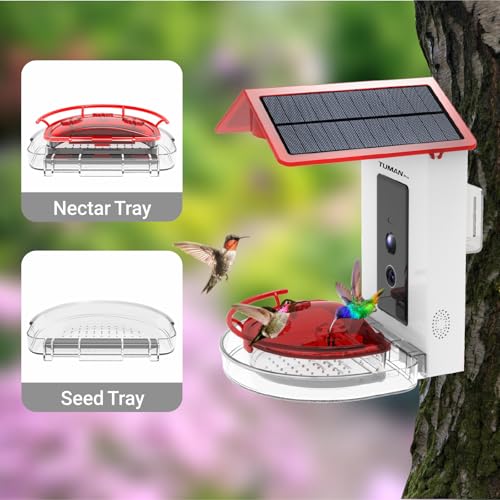 Solar Smart Hummingbird Feeder 1080P Camera 2.4Ghz Wi Fi | AI Bird Recognition Leak Proof Hanging Design Wide View Lens Ideal for Outdoor Garden Bird Watching Observation