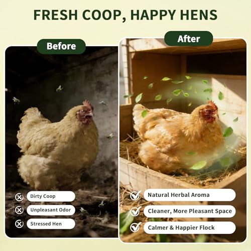 BGraceyy Chicken Nesting Herbs 64 oz – 11 Natural Dried Herb Blend with Marigold for Chicken Coop & Roost Refresh, Nesting Box & Dust Bath, Supports Natural Nesting Behavior - size: 64 ounce