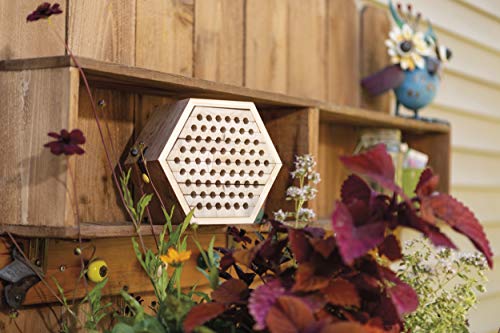 Toysmith Beetle & Bee Solitary Habitat Kit, Wooden Outdoor Science Toy | Kids Outdoor Toy, Bee House Craft, Garden Kit Learning, 13 FSC Wood Pieces, No Glue Hardware, Age 8+ Pollinator Activity - style: Solitary Bee Habitat