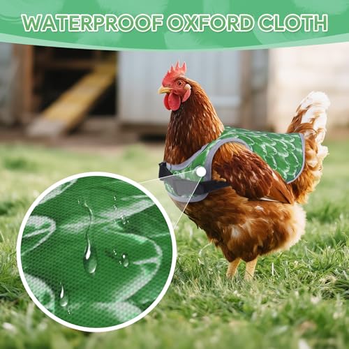 Chicken Saddles for Hens, Chicken Aprons for Hens with Adjustable Straps, Hen Saddle for Chickens - color: Green
